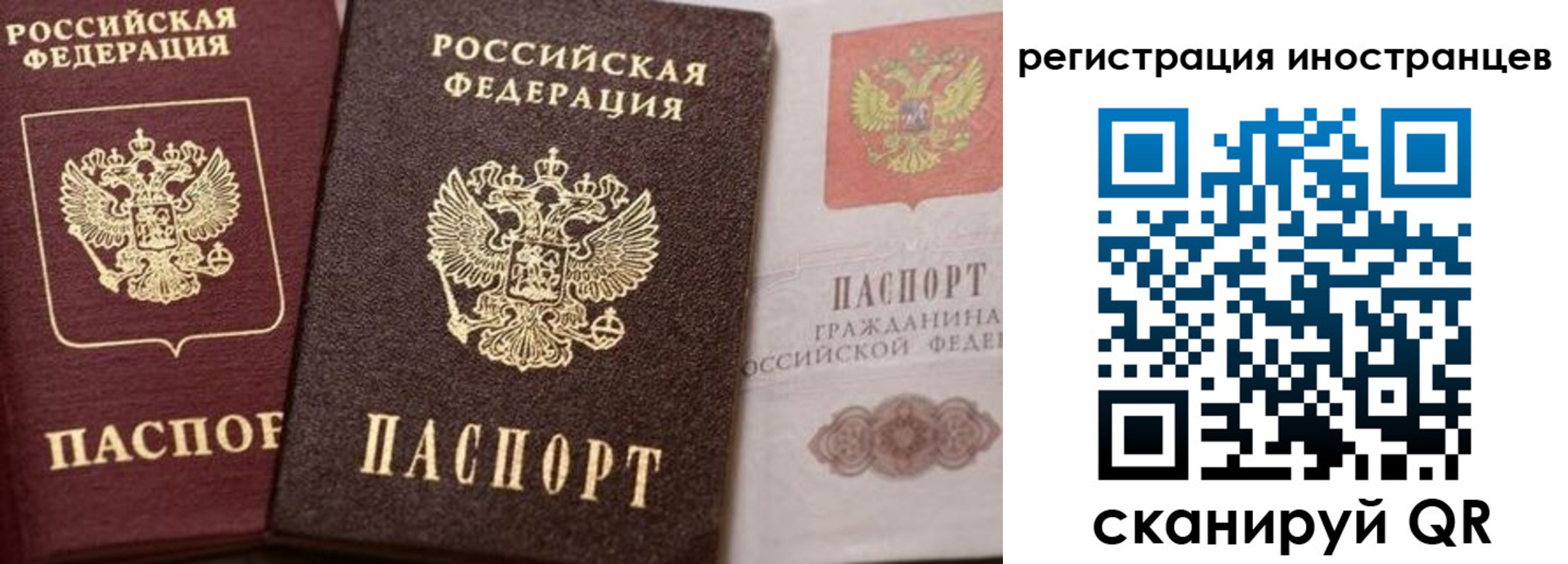 временная регистрация купить в Рошале